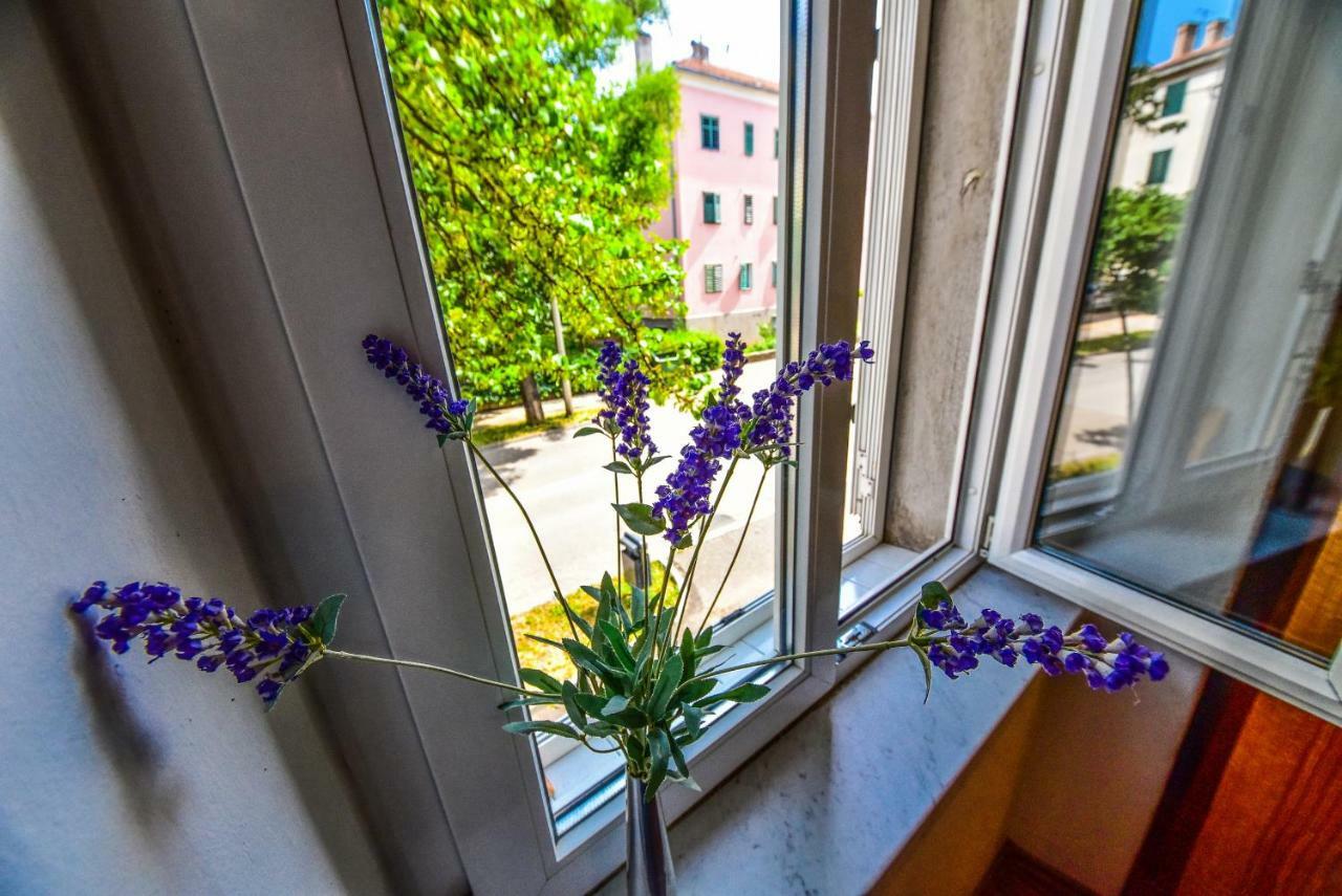 Apartment Viola Zadar Dış mekan fotoğraf